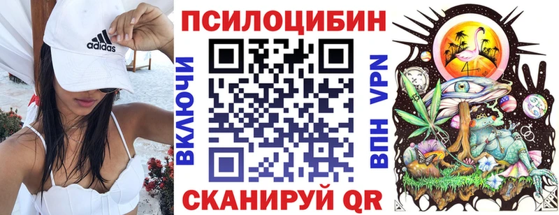 цена   Гай  Псилоцибиновые грибы Magic Shrooms 