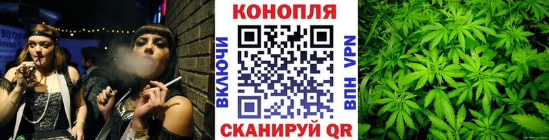 Канабис семена  где можно купить   Гай 